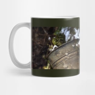 tin bucket in a snowy Oregon forest Mug